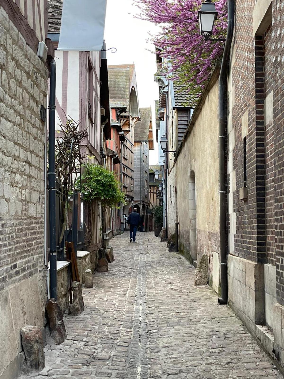 Villa Un Brin De Bonheur Troyes Esterno foto